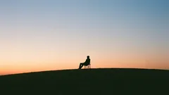 Hvorfor denne hobby vil gøre dig lykkelig