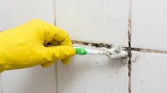 Sådan slipper du af med skimmelsvamp mellem badeværelsesfliserne