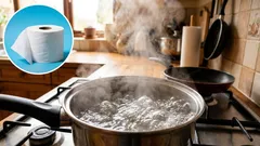 Jeg hældte kogende vand over toiletpapiret og løste et problem, der generer de fleste familier.