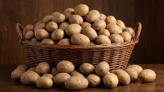10 måder at opbevare kartofler i din lejlighed og dit hus uden at ødelægge dem