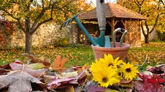 Forberedelse af haven til vinteren: Hvad skal der gøres?